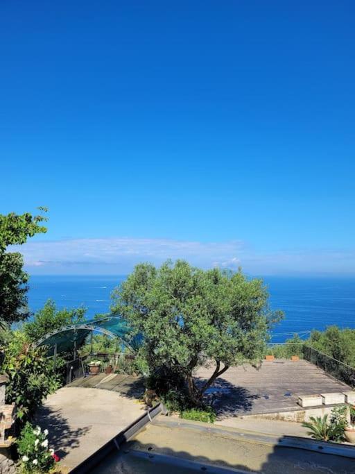 فيلا Sun & Relax, Relaxing Location With Seaview ماسّا لوبْرينسِ المظهر الخارجي الصورة
